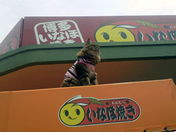 いなほ焼き 深江駅前店
